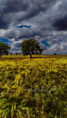 /album/vsechno-je-o-dusi/picsart-25-06-29-08-59-51-273-jpg/