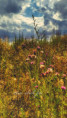 /album/v-prostoru/fotor-1752427265589-jpg/