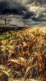 /album/okamziky-kolem-nas/picsart-25-07-18-08-36-26-791-jpg/
