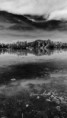 /album/proste-fotky/fotor-1778310241743-jpg/