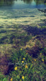 /album/proste-fotky/fotor-1778309770229-jpg/