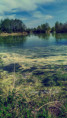 /album/proste-fotky/fotor-1778309603605-jpg/