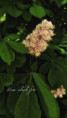 /album/proste-fotky/fotor-1778224086911-jpg/