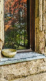 /album/proste-fotky/fotor-1778046709222-jpg/