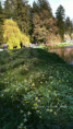 /album/kolem-nas/fotor-1779542353675-jpg/