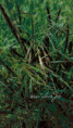 /album/kolem-nas/fotor-1779258022067-jpg/