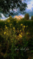 /album/kolem-nas/fotor-1779257775964-jpg/