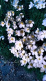 /album/kolem-sebe/fotor-1779690002263-jpg/