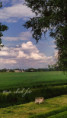 /album/vsechno-je-o-dusi/fotor-1779257606397-jpg/