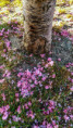 /album/vic-nez-cvak/fotor-1777713187001-jpg/