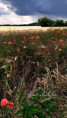 /album/jen-tak-kolkolem/fotor-1782715301662-jpg/